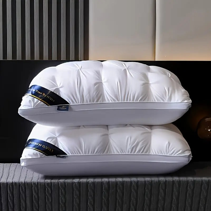 Kaqinu Queen Size Bed Pillows Set of 2, Hotel Quality, Down Alternative Gusseted Bed Pillows for Side, Back, or Stomach Sleepers, White