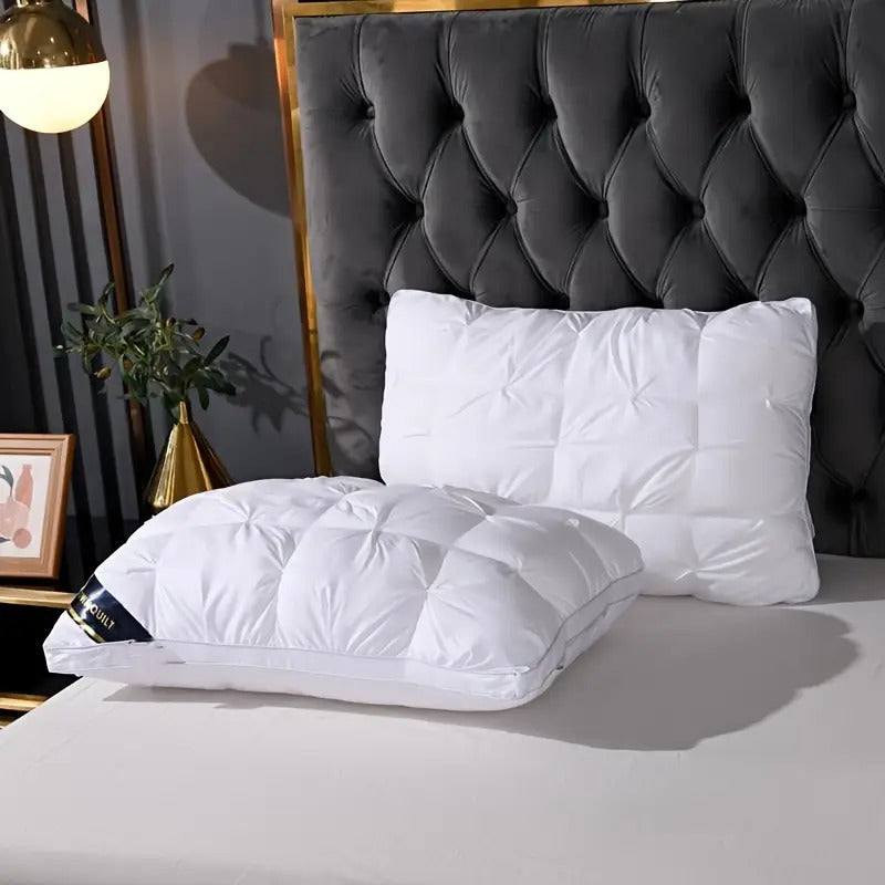 Kaqinu Queen Size Bed Pillows Set of 2, Hotel Quality, Down Alternative Gusseted Bed Pillows for Side, Back, or Stomach Sleepers, White